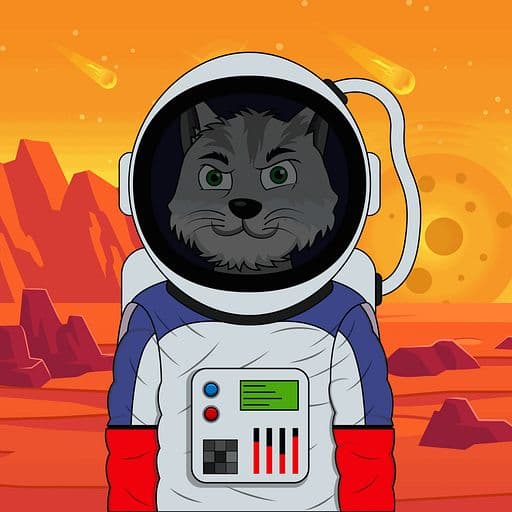 888 Voyager Cats