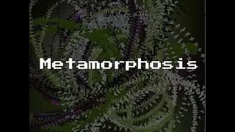 Metamorphosis (Part 2)